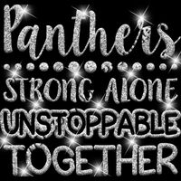 GLT87 SILVER GLITTER Thumbnail